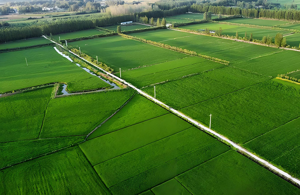慈溪市新浦镇人民政府农田保洁服务采购项目